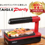 ZAIGLE Party