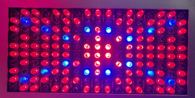 青色LED、赤色LED、近赤外線パネル
